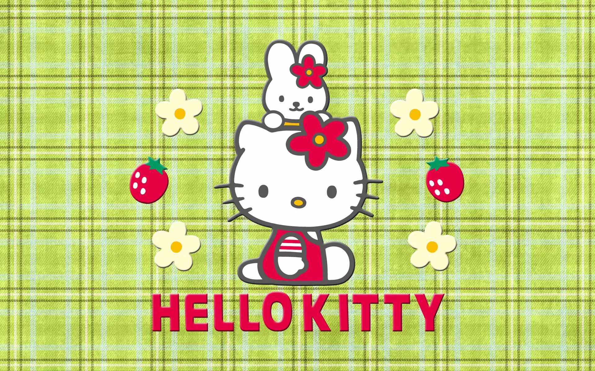 Hello kitty, cartoon laptop for students, custom-made