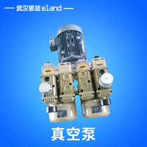 Japan Holion vacuum pump CBX40-P-VB-03 One suction one blow vacuum pump Printing machine vacuum pump