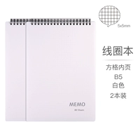 Включите B5 Square/2 Book White