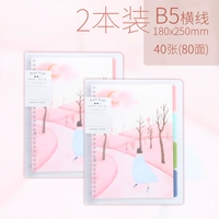 Yueliang B5/2 книги