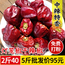 Guizhou specialty lantern pepper 500g medium spicy special dried red sea pepper paprika noodles spicy pot hot pot dried pepper
