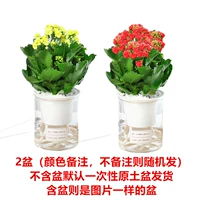 【Специальное предложение 2 бассейна】 (цилиндрическое самооценка).