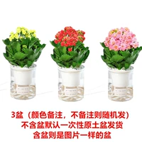 【35% Выберите Специальное предложение 3 бассейна】 (цилиндрическое самореплату) Цветовое примечание + распыление