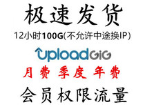 (Automatic delivery) uploadgig com premium members 12 hours 100G traffic non-transit