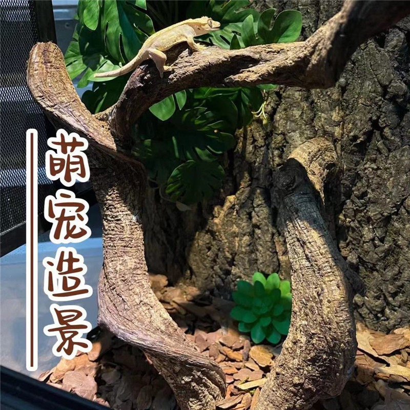 爬宠造景缸必备!山藤树枝+枯木过江龙藤藤条,打造深山野藤宠物箱装饰素材!-爬宠躲避-淘宝好物网