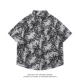 D5545 Grey