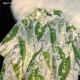 Синий D2393-Green