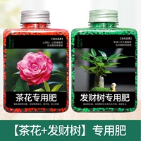 [Camellia+дерево удаки] Devil 400G