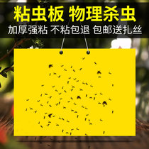 Fruit Fly Tractor for Double-sided Viscosity Yellow Greenhouse for Household Indoor Thistle Blue Plate Artificial Fruit Fly