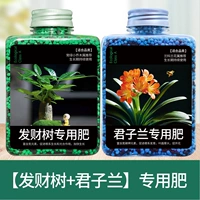 [Дерево Fortune+Clivia] Определенное удобрение 400G