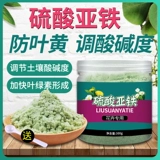 Сульфат сульфат раствор сульфат сульфат сульфарный железо цветочные удобрения Универсальные цветы удобрения для предотвращения домашние удобрения желтых листьев