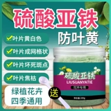 Сульфат сульфат раствор сульфат сульфат сульфарный железо цветочные удобрения Универсальные цветы удобрения для предотвращения домашние удобрения желтых листьев