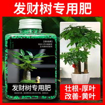 Fat tree fertilizer special fertilizer anti yellow leaf nutrient solution General compound fertilizer particles slow release fertilizer indoor money tree