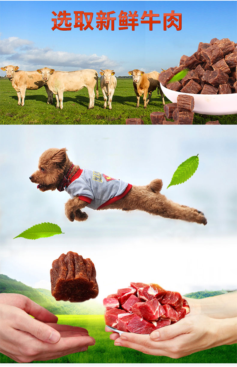 Mai Fudi chó ăn nhẹ vật nuôi hạt thịt thú cưng Teddy Golden Retriever chó con đào tạo đào tạo chó ăn nhẹ chó - Đồ ăn vặt cho chó thức ăn cho chó mang thai