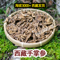 Bouddhas hand in Chinese herbal medicine Palm Ginseng Tibet Spécial bouddhiste prolifique main dans la paume de la main pour participer 250 gr le 250 gr