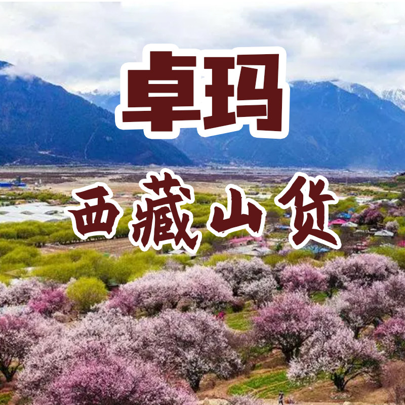 卓玛西藏山货的LOGO