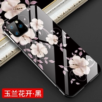 Apple 11pro- [Magnolia Blossom-Black] -5,8 дюйма