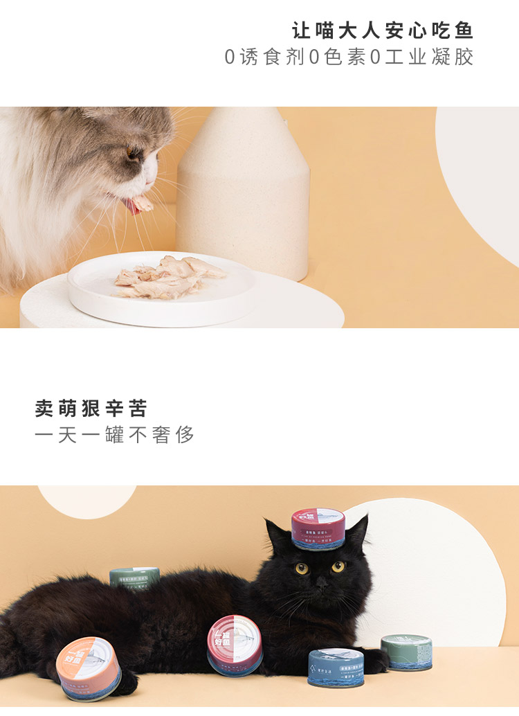FURRYTAIL đuôi cuộc sống một lon cá mèo tốt đóng hộp mèo ăn nhẹ dinh dưỡng thực phẩm ướt - Đồ ăn nhẹ cho mèo hạt catsrang