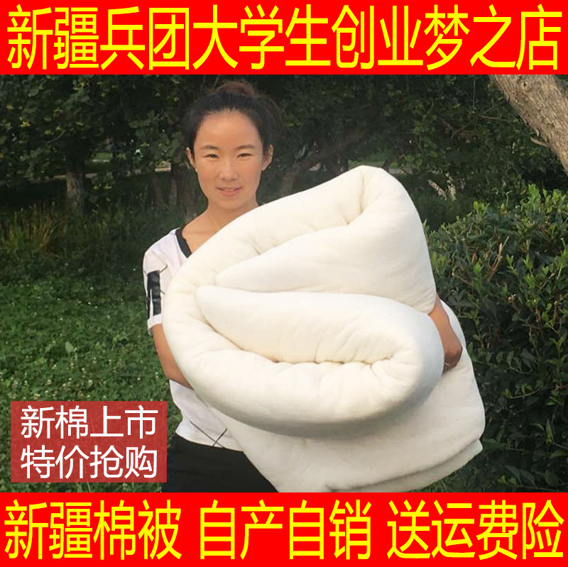 8 pounds of Xinjiang cotton winter quilt cotton plush cotton quilt quilt core cotton wool pad quilt quilt thickened eight pounds