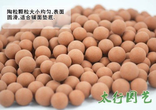 Shenshui Ceramics Polynuts с нижней частью каменных гидропонных растительных камер ростки, рис, рисовый шарик, рыбные овощи, рыбные овощи, без посадки почвы