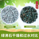 Succulent green zeolite granules potted paving stone anti-rot root natural zeolite ammonia absorbing stone aquarium fish tank filtration and purification