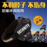 BIDTH BEASS, большой взрыв собак -Произволенная большая собака среднего размера