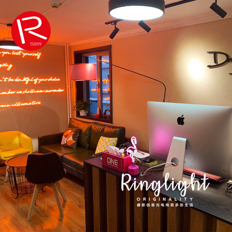 Sunnylife same pink dock flamingos hand-made glass neon decoration live ambient lights