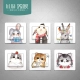 Dian Meng Cat and Rabbit Basic Series