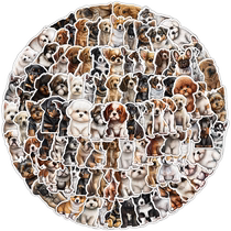 500张可爱贵宾犬狗狗涂鸦贴纸卡通金毛德牧二哈个性儿童文具水杯笔记本电脑吉他电动摩托车头盔防水装饰贴画