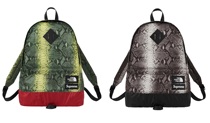 Supreme The North Face Snakeskin Pack joint snake leather backpack SS18