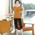 2019 phụ nữ trung niên mới của phụ nữ trung niên mùa hè ngắn tay mẹ mùa hè áo hai dây phụ nữ trung niên - Phụ nữ cao cấp mẫu áo trung niên Phụ nữ cao cấp