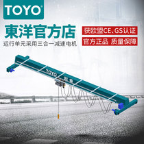 Toyo Oriental European Electric Single Beam Crane Gantry Crane Hanger