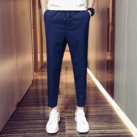 Тибетский Цинпинг Фейр