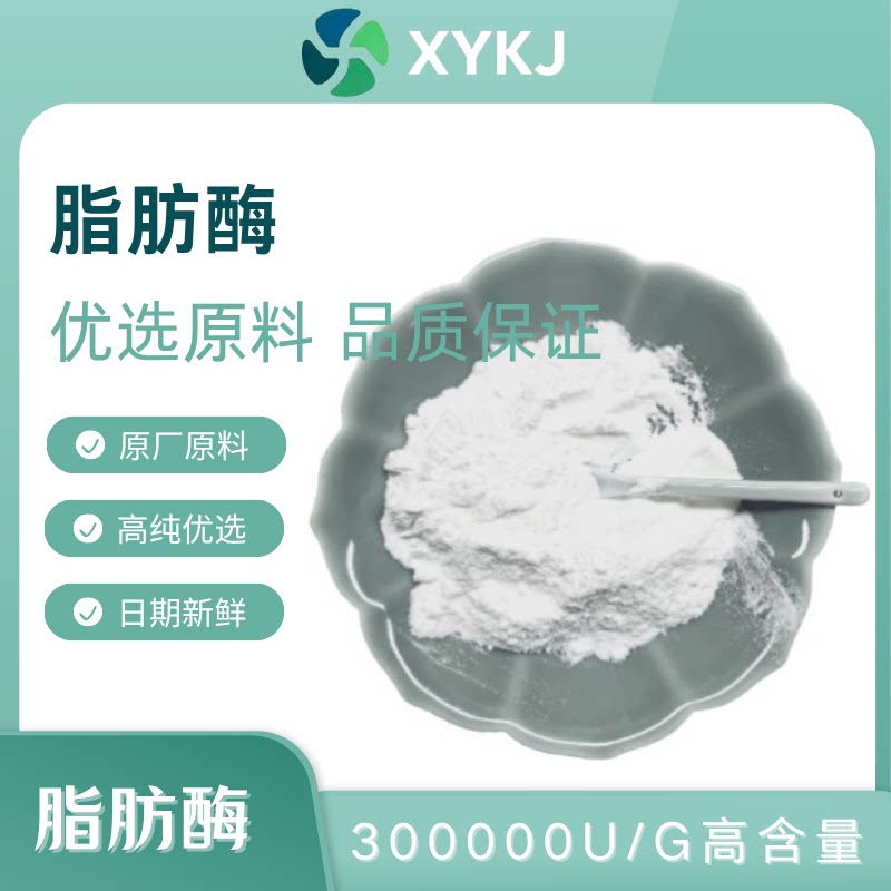 脂肪酶 高纯无添加脂肪酶30万u/g