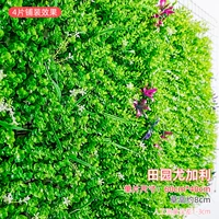 Сельские йогали