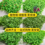 Моделирование зеленое растение фона стены зеленая виноградная полоска