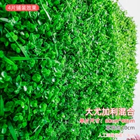 Даду Гали смешан