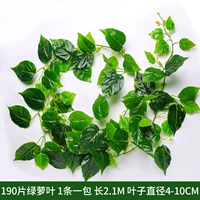 Team Glue Film Green Dill Rattan