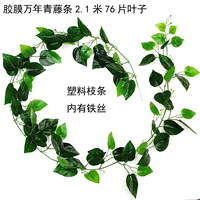 Пластиковая мембрана Wannian Vine