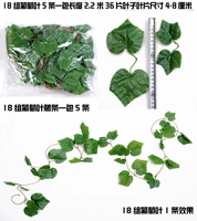 18 групп винограда оставляют упаковку