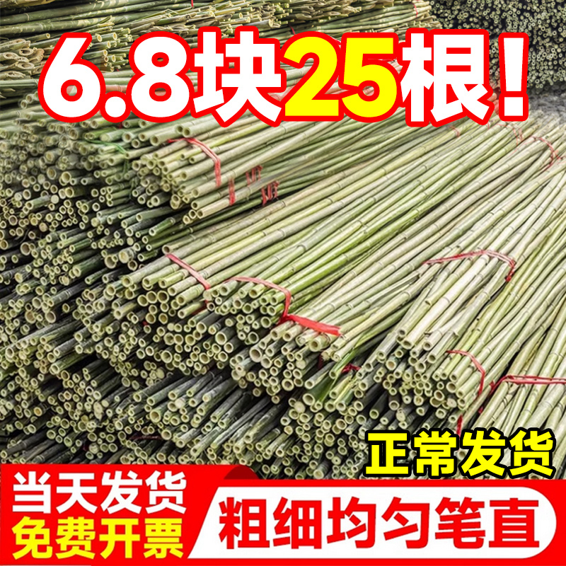 Bamboo Poles for Vegetable Gardens, Supports for Vegetables, Cucumber, Tomato, and Beans; Bamboo Fences, Small Bamboo Poles, Fine Bamboo Poles, Grape Trellis
