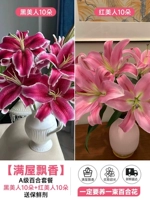 Премиум-пакет лилий [10 черных красавиц + 10 красных красавиц] бесплатный консервант