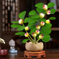 Сяо Пан Бодхи (с фруктами) -алиновой гончар