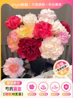 Готовый ассортимент, быстрая доставка ⭐ 10 случайных штук качественных цветов пиона [слепая коробка с цветами]