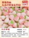 [Новый продукт] Pink Jade 2 Pots [Оригинальные пакеты для почвы в горшках для жизни]+удобрения