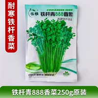 Эротический 888 кориандр 250G Оригинальный холодный устойчивый кориандр Tiecanca