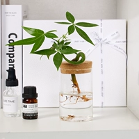 [⭐ рабочего стола желательно ️] одиночные корни и богатые деревья+цилиндрическое стекло