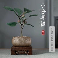 Сяопань Бодхи+горшок с лотосом+белая галька+деревянная опора+растение в горшке — это хорошо