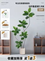 Зеленый бежевый ластик, 1.9м