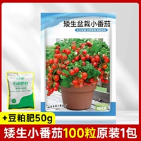 Little Tomato 100 зерен 1 упаковка оригиналов+удобрение для соевых блюд 50G